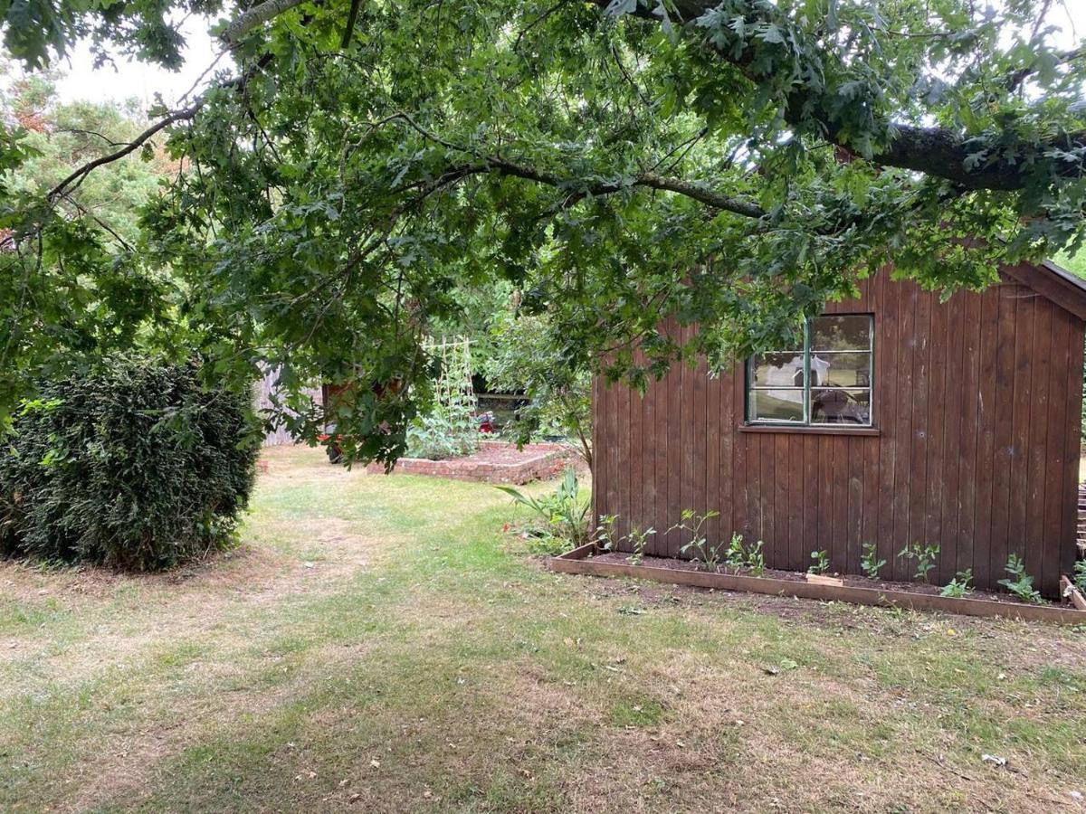 Orchard Cabin Herefordshire Wye Valley Ross-on-Wye ภายนอก รูปภาพ